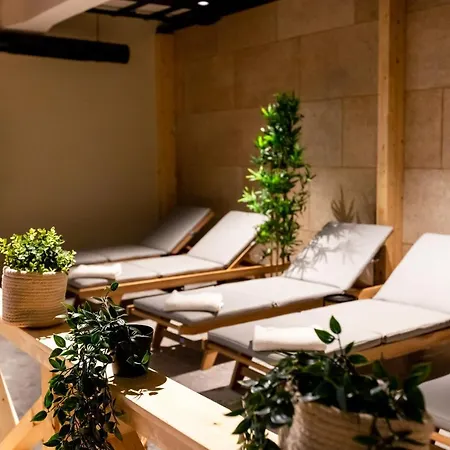 Hotel Lonca 4*